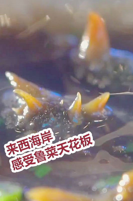 ſˮƵ~³컨