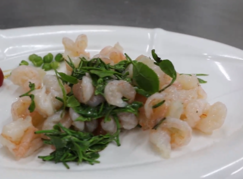 �����̲賴Ϻ