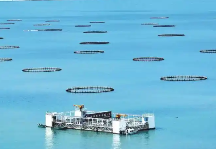 ���Ű��� 1.png